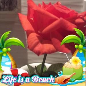 Meet your Posher, Lora